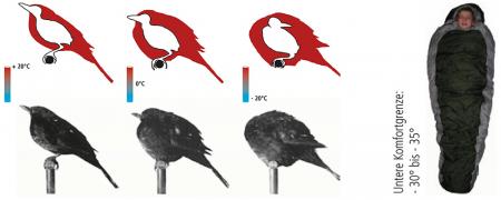 Passivhaus Wärmedämmung